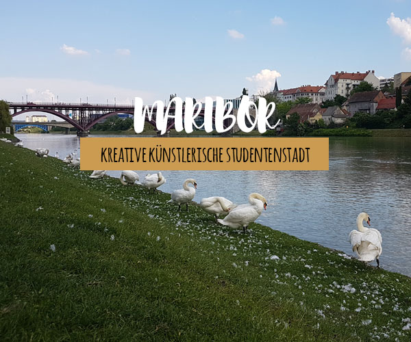 Maribor, die kreativ-künstlerische Stadt besuchen
