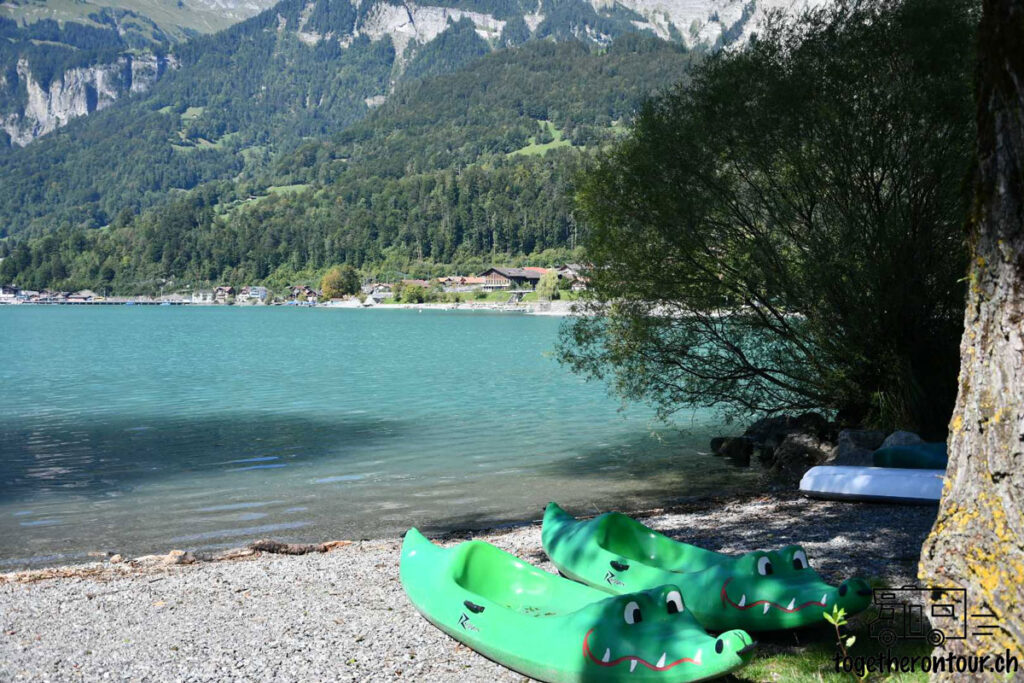 Die schönsten Campingplätze in der Region Interlaken