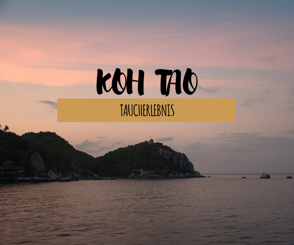 Koh Tao – Trauminsel Thailands