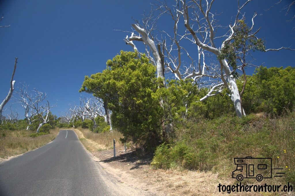 Cape Otway Sehenswürdigkeiten in Australien