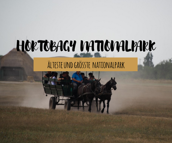Hortobágy-Nationalpark – der älteste und grösste Nationalpark in Ungarn